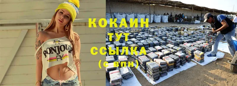 Cocaine Колумбийский  продажа наркотиков  Михайловск 